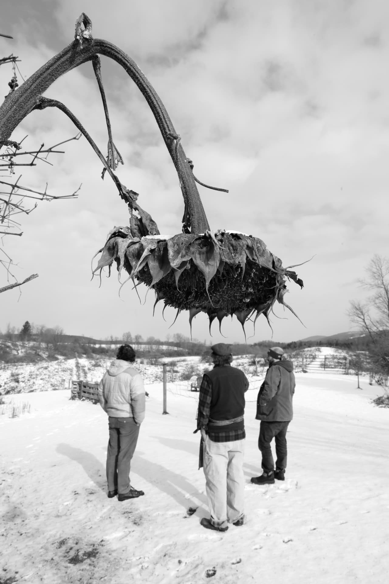 Photograph by Thea Traff