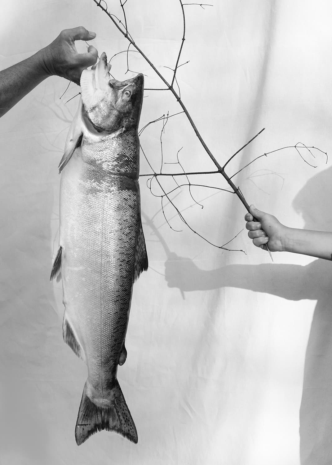 Photograph by Thea Traff