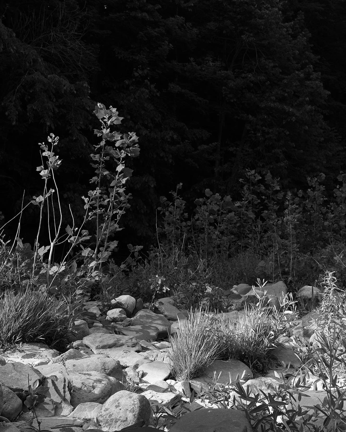 Photograph by Thea Traff