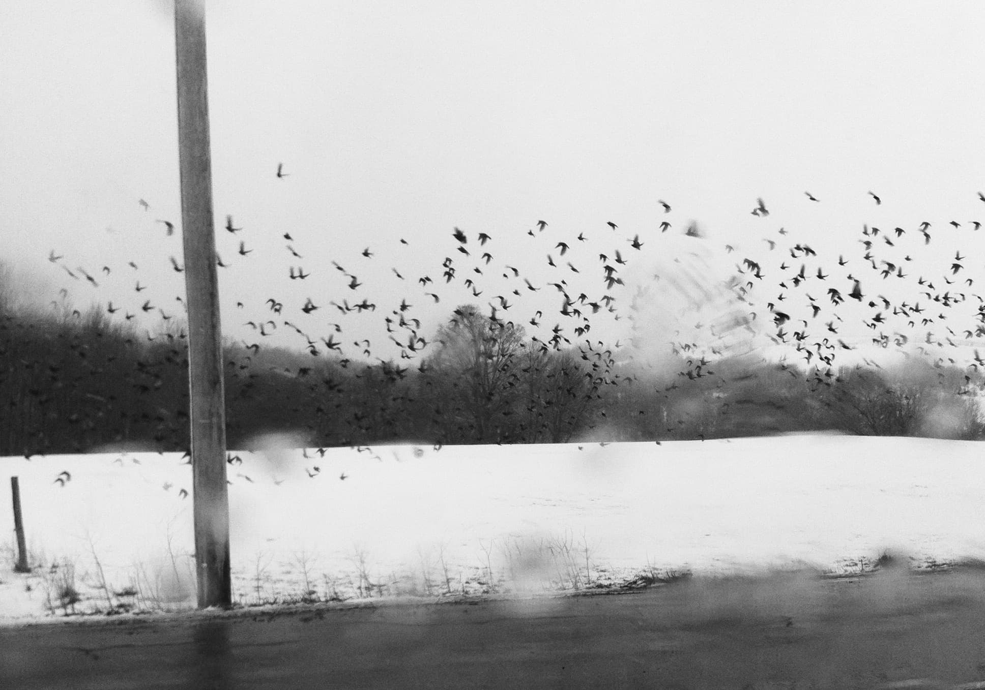 Photograph by Thea Traff
